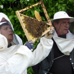 initiation_apiculture_bourgogne_yonne_proche_paris_montagne_aux_alouettes